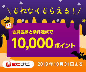 毎日貯まるポイントサイト ECナビ