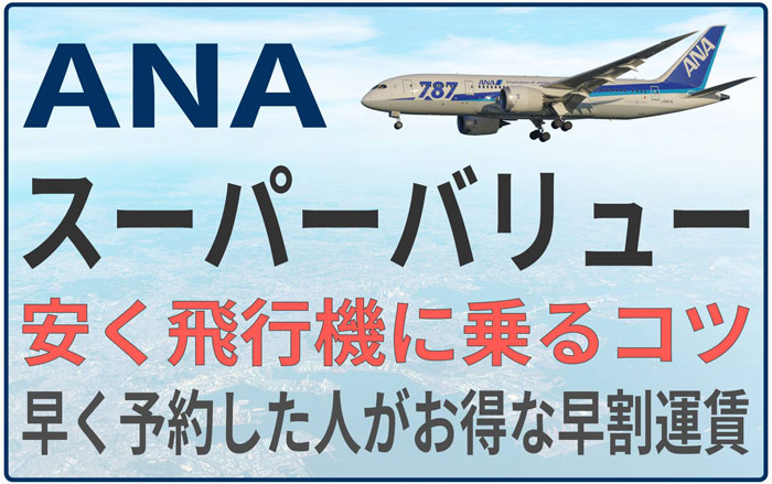 ana biz バリュー 違い _ ana biz とフレックスの違い – LDDDM